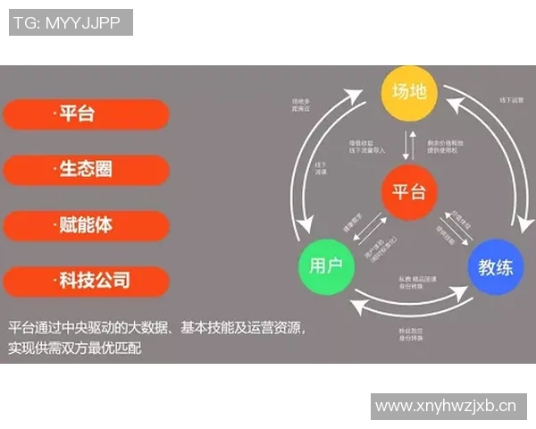 球类运动的魅力与发展探索：从传统项目到现代创新竞技的演变与影响