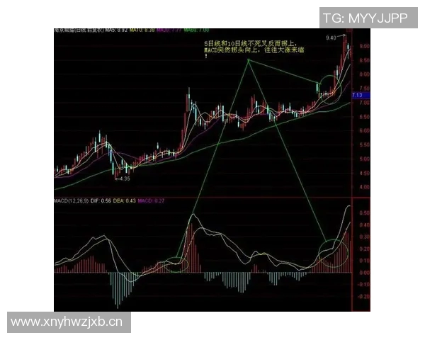 乒乓球战术解析:探秘北京乒乓球队的盯防体系与实战应用 乒乓球战术解析:探秘北京乒乓球队的盯防体系与实战应用